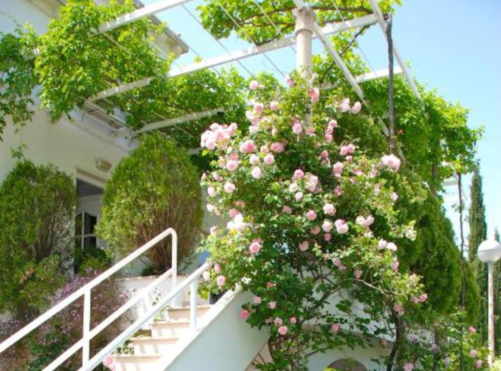 Villa Mediterranea Mlini Exterior foto